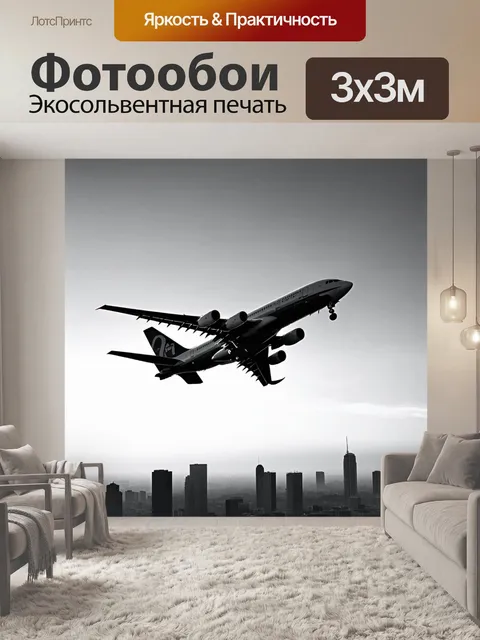 Фотообои самолет в черно-белом стиле, разрезающий утреннее небо над городом