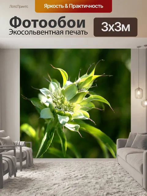 Фотообои Horsemint цветок