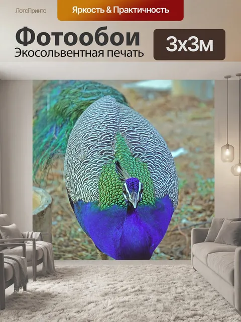 Фотообои Павлин