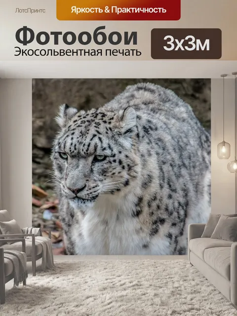 Фотообои Снежный барс