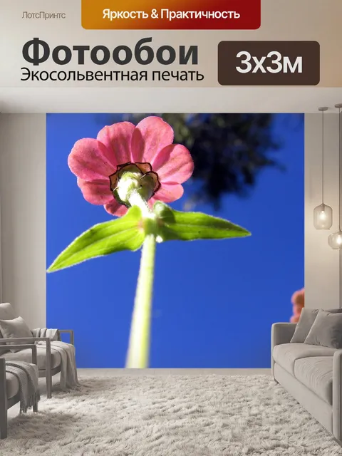 Фотообои Цветок