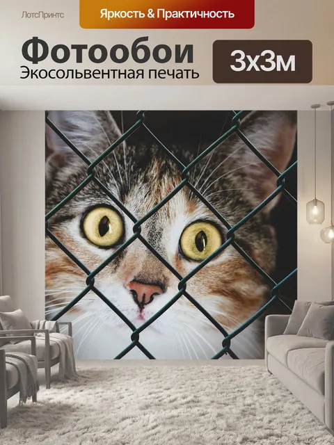 Фотообои Кошка