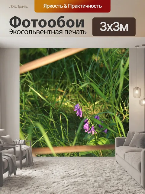 Фотообои Фиолетовый Полевые цветы