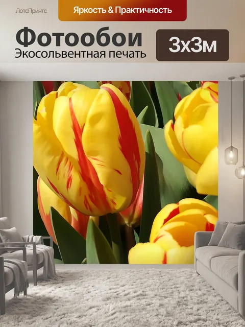 Фотообои Тюльпаны