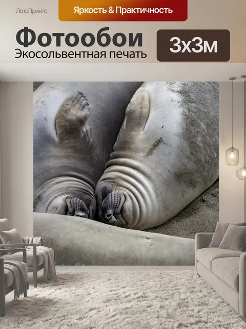 Фотообои Слоновые моря