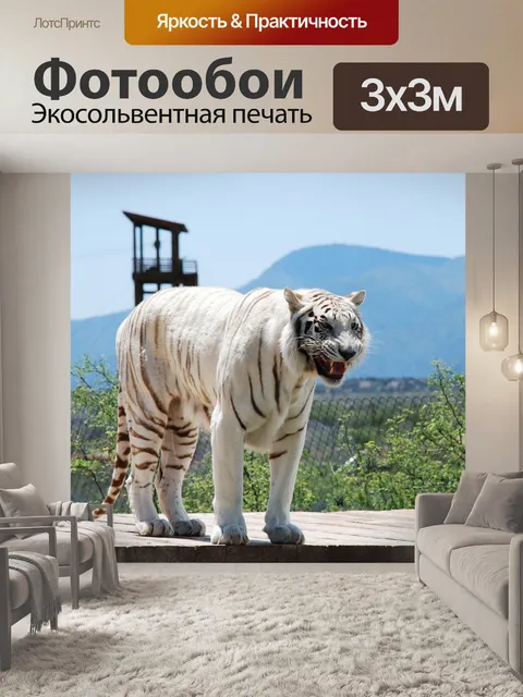 Фотообои Белый тигр