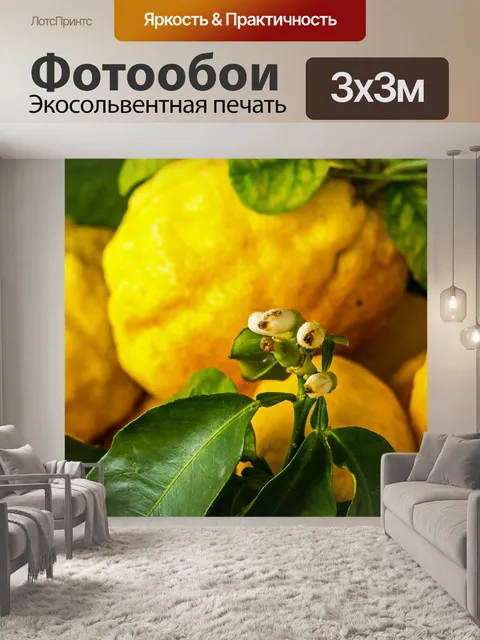 Фотообои Цвести