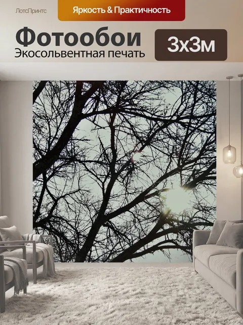 Фотообои Солнце сквозь веток дерева