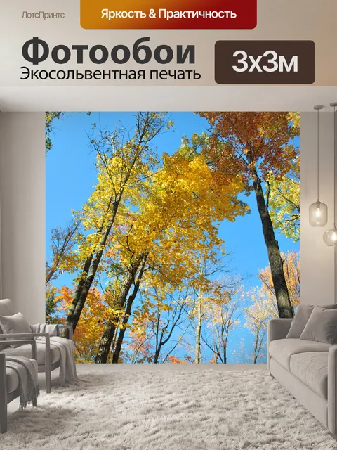 Фотообои Осенние деревья 02