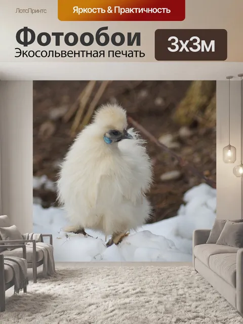 Фотообои Seidenhuhn