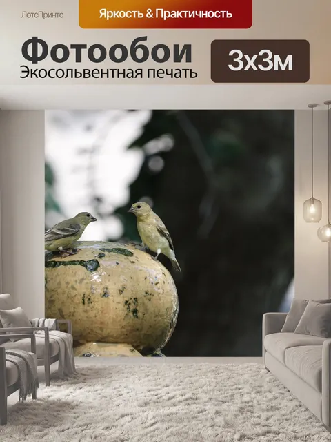 Фотообои Две птицы