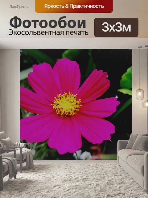 Фотообои глубокий розовый цветок космос