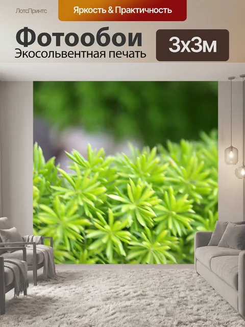 Фотообои зеленые листья размытым фоном