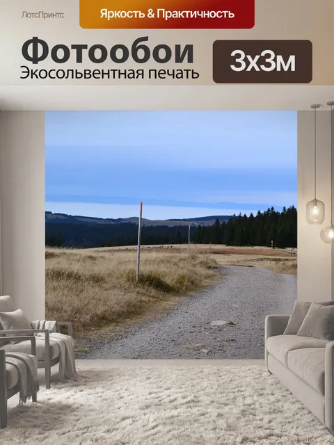 Фотообои Черный лес