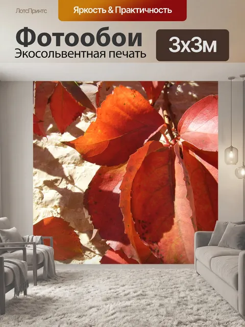 Фотообои Красные осенние листья