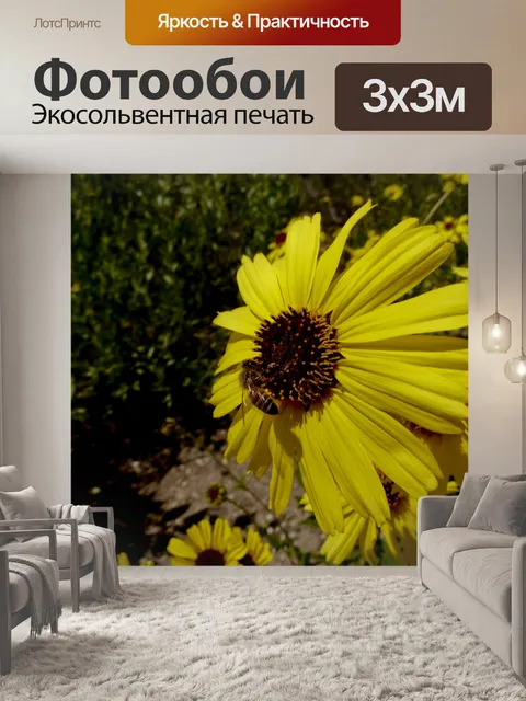 Фотообои Пчела на желтой ромашке