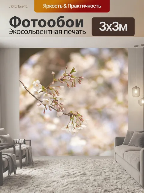 Фотообои Сакура