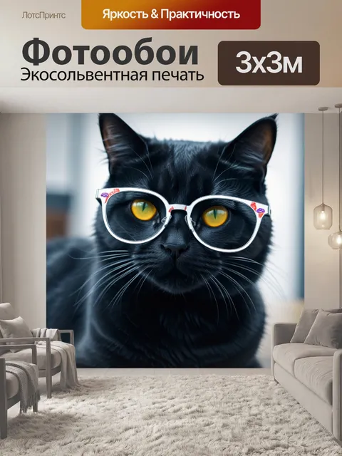 Фотообои кормящий кот в очках