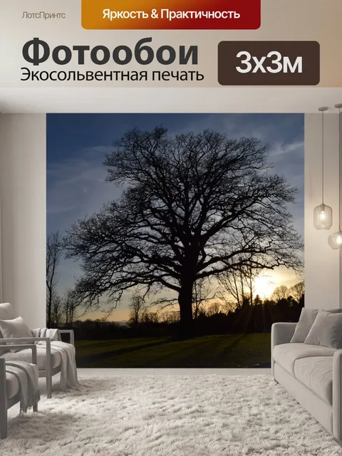 Фотообои Дерево