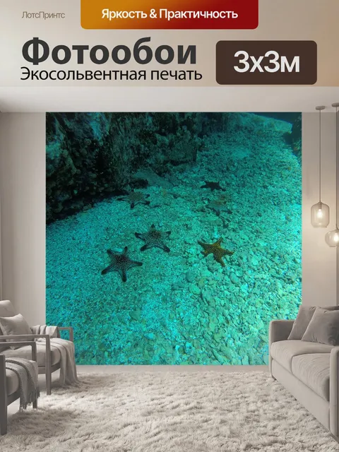 Фотообои Морская звезда