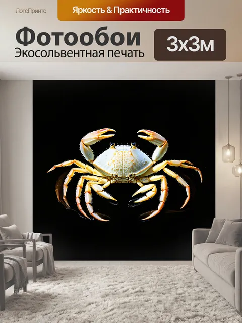Фотообои на черном фоне разворачивается сцена с белым крабом, у которого клешни подняты в знаке защиты