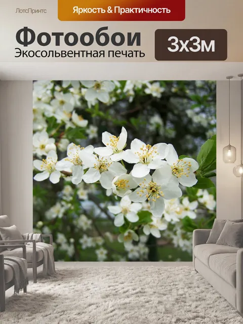 Фотообои Цветущее фруктовое дерево