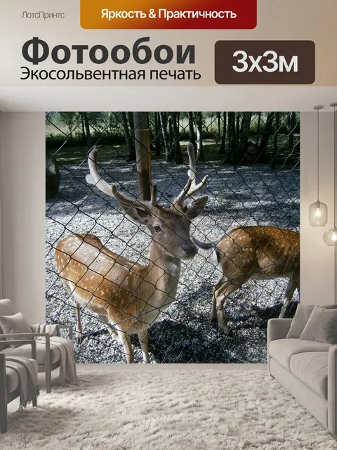 Фотообои Олень