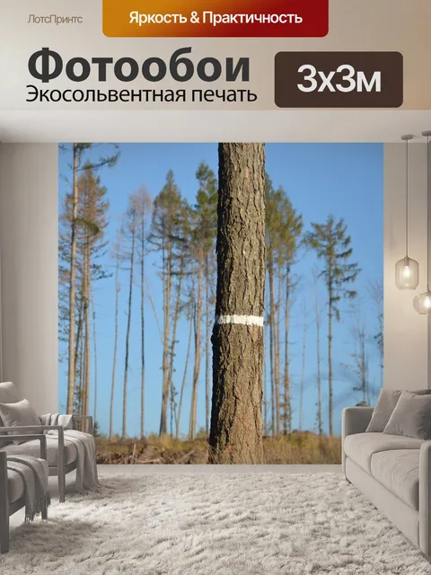 Фотообои Есеники