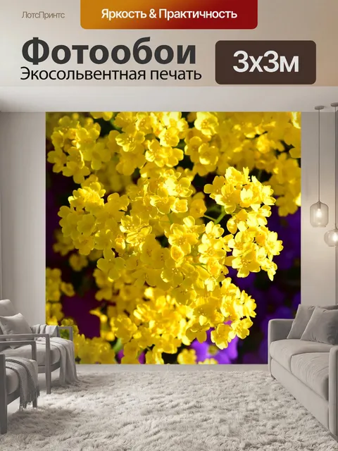 Фотообои Цветы