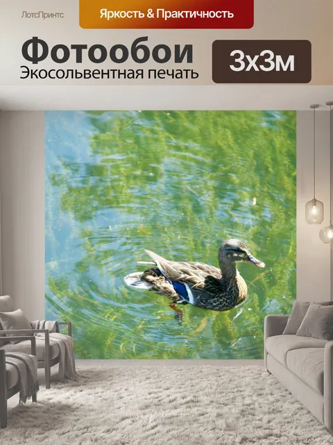Фотообои Озеро