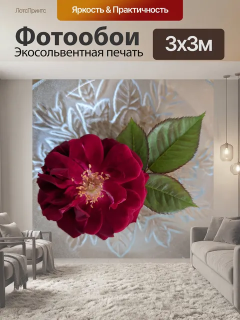Фотообои Дикая роза