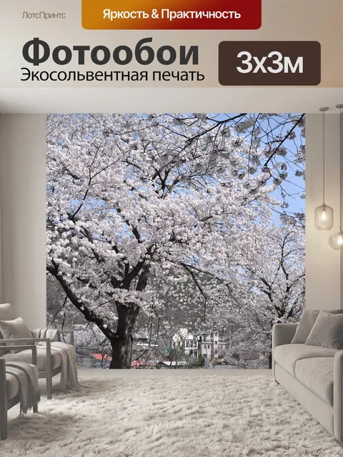 Фотообои Вишня в цвету