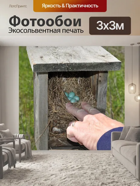 Фотообои Синие птицы