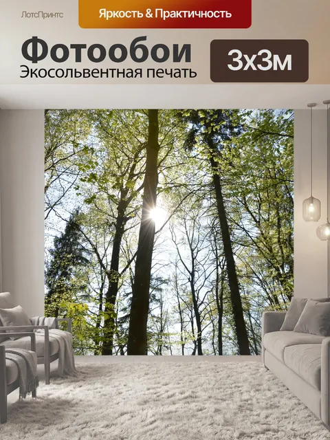 Фотообои Солнечный лес