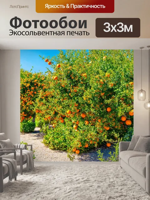 Фотообои греческий сад с апельсиновыми деревьями и цветущими травами, излучающий аромат в ярком солнце