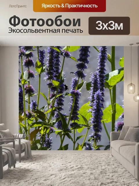 Фотообои Бабочка куст