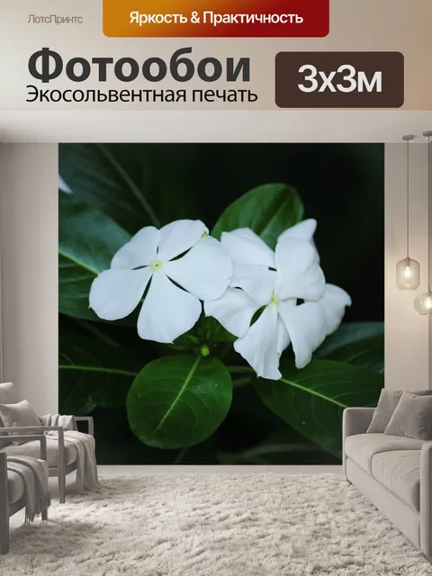 Фотообои белые цветы 8