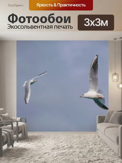 Фотообои Птицы