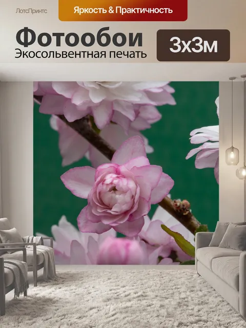 Фотообои Сливовый босс
