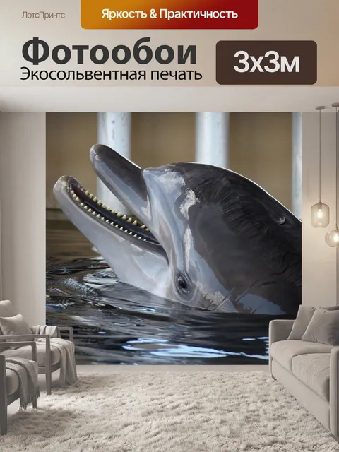 Фотообои Дельфин