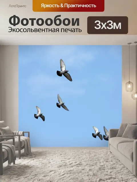 Фотообои Птицы летают