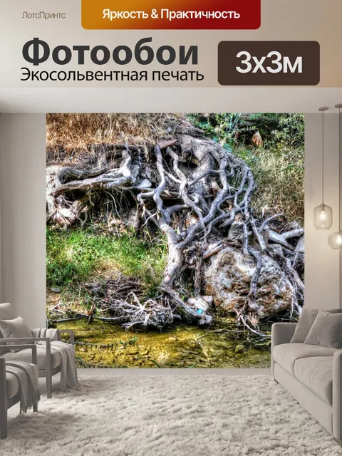 Фотообои Корни деревьев