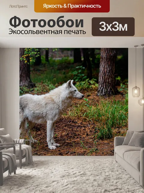 Фотообои Белый волк