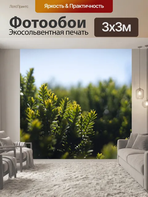 Фотообои День земли