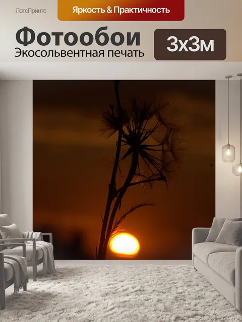Фотообои Одуванчик