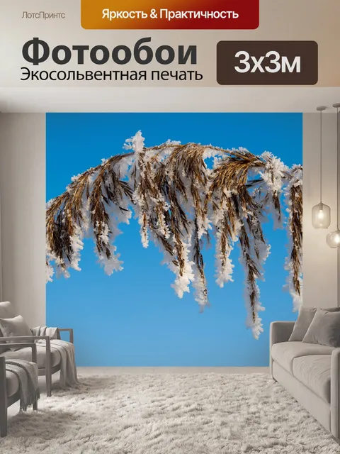 Фотообои Природа