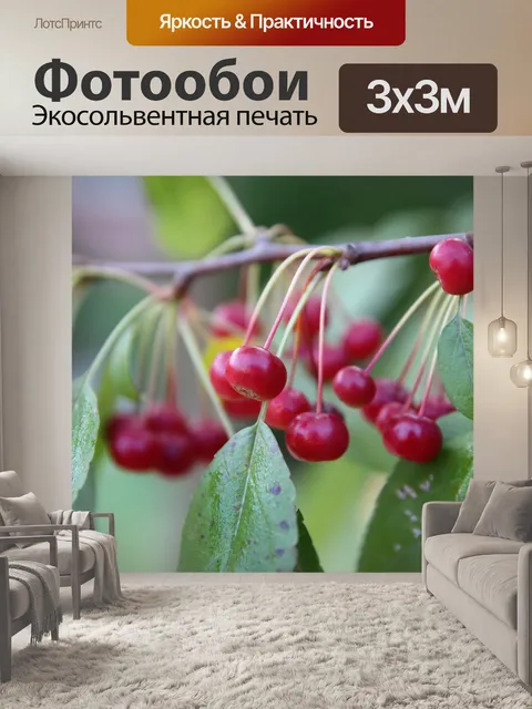 Фотообои Фрукты