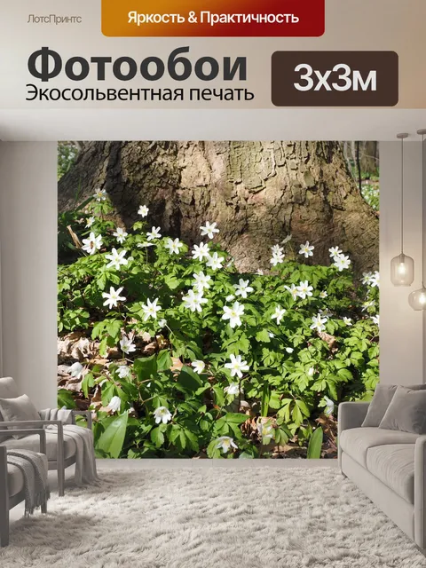 Фотообои Лес