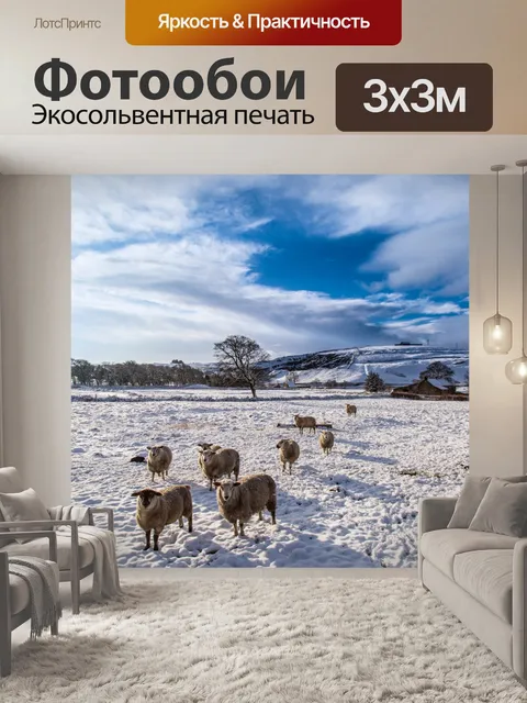 Фотообои Овцы в снегу