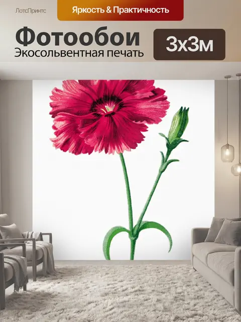 Фотообои Цветок гвоздики нарисовал искусство
